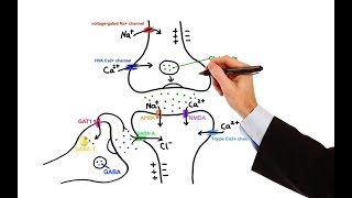 Pharmacology  ANTIEPILEPTIC DRUGS MADE EASY [upl. by Weisbrodt]