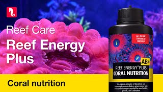 Red Sea Reef Energy Plus  Complete allinone Coral Food [upl. by Evalyn]