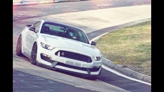 SCREAMING EXHAUST GT350 Nürburgring [upl. by Willman]