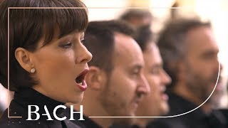 Bach  Cantata Jesus nahm zu sich die Zwölfe BWV 22  Kuijken  Netherlands Bach Society [upl. by Kreitman]