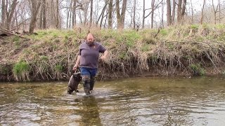 beaver trapping for beginners  Beaver Bandit [upl. by Faxun]