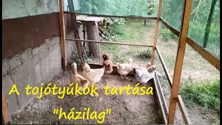 Tyúkbaromfi tartása szakszerűen S02E39 [upl. by Jameson]