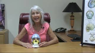 An Introduction to CranioSacral Therapy [upl. by Holton]