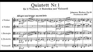 Brahms – Streichquintett n° 1 Op 88 [upl. by Aicsila]