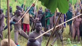 Brutal traditions of the surma Tribes Ethiopia [upl. by Kcirnek889]