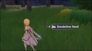 Genshin impact dandelion seed locationsHow To Farm This plant Guide [upl. by Graner]