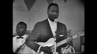 Muddy Waters RollinStone  Newport1960 [upl. by Monica360]