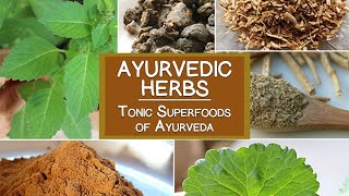 Ayurvedic Herbs The Tonic Superfoods of Ayurveda [upl. by Cristiano]