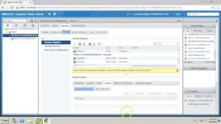 Mapping LUN or Data store to ESXi Host [upl. by Vannie7]