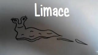 Dessiner une limace [upl. by Einhpad799]