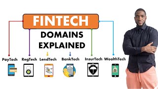 FINTECH DOMAINS EXPLAINED [upl. by Isyed]